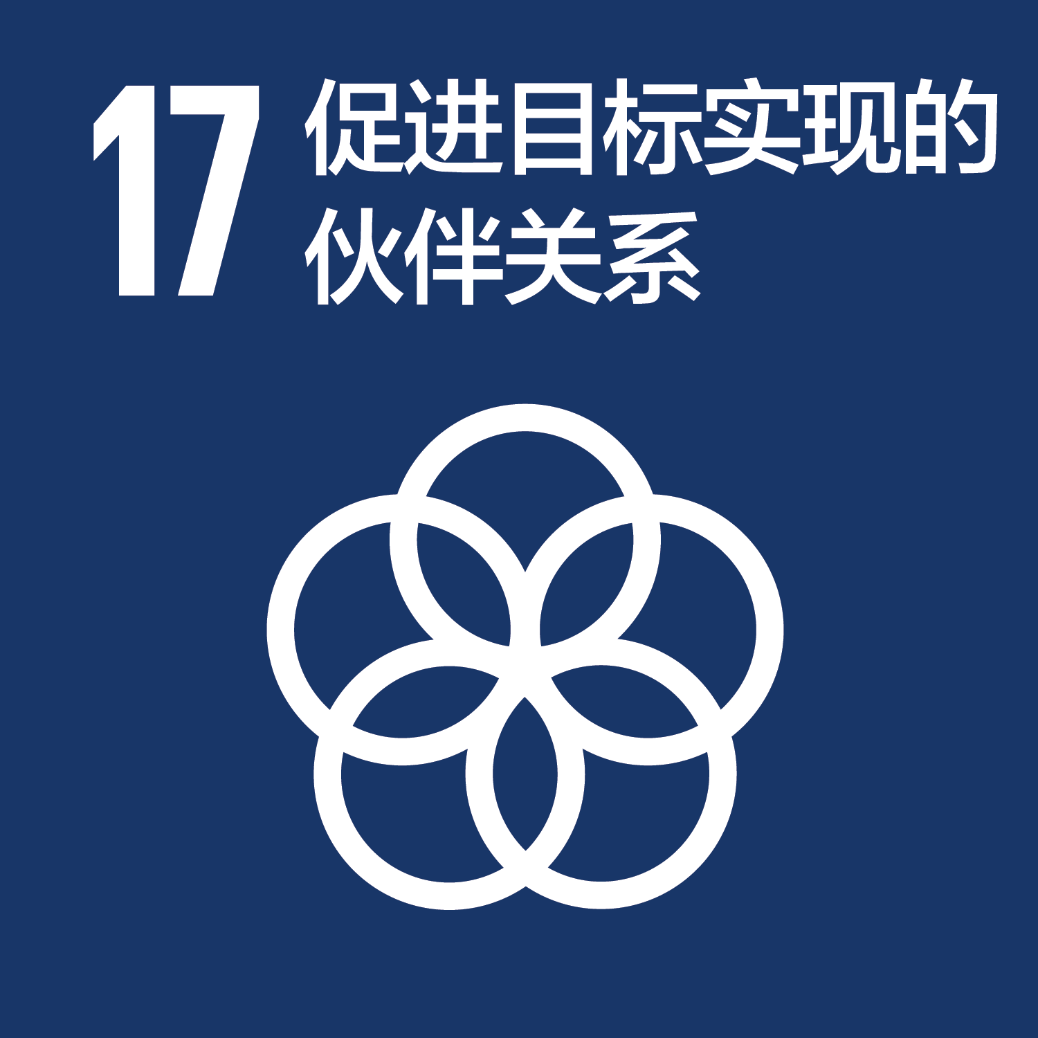 可持续发展目标-17促进目标实现的伙伴关系